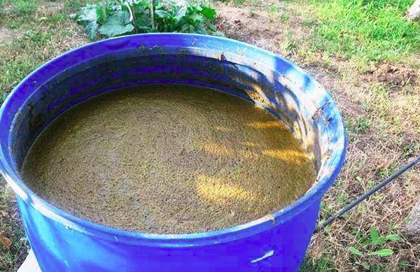 ปุ๋ยคอกเหลว