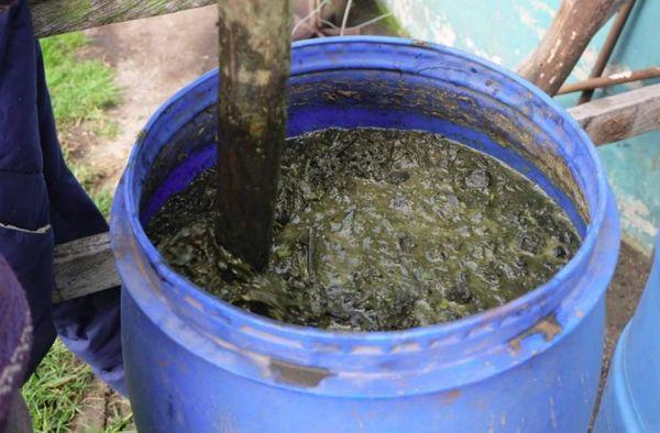 ลูกขนไก่ในถัง