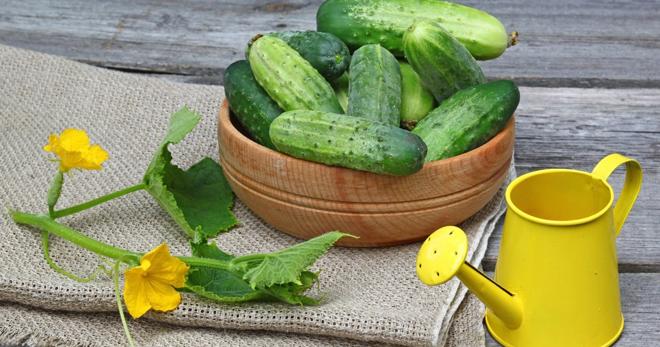 แตงกวาในชาม