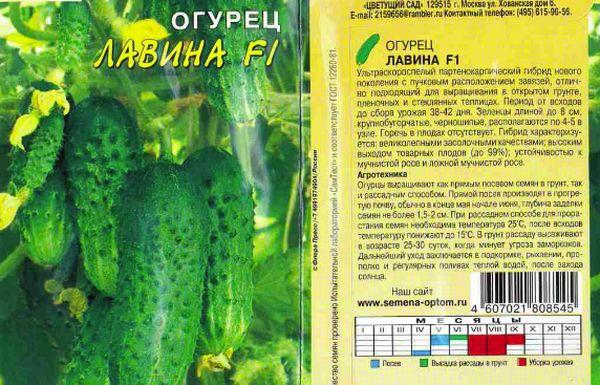 หิมะถล่ม F1