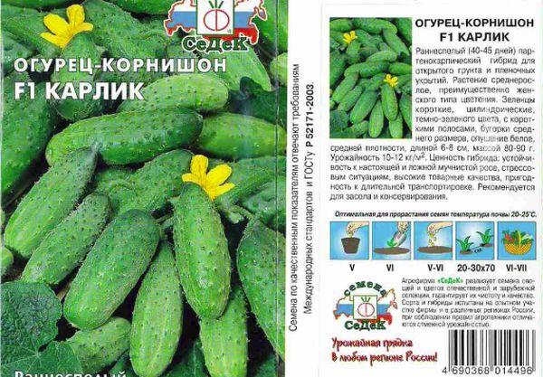 ลูกผสมแคระ F1