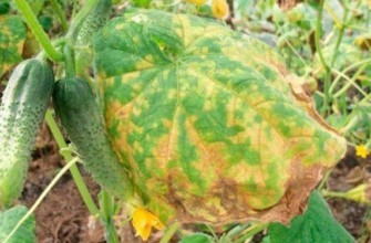 จุดสนิม