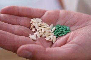 วิธีการเตรียมเมล็ดแตงกวาสำหรับปลูกในพื้นที่โล่งอย่างถูกต้อง