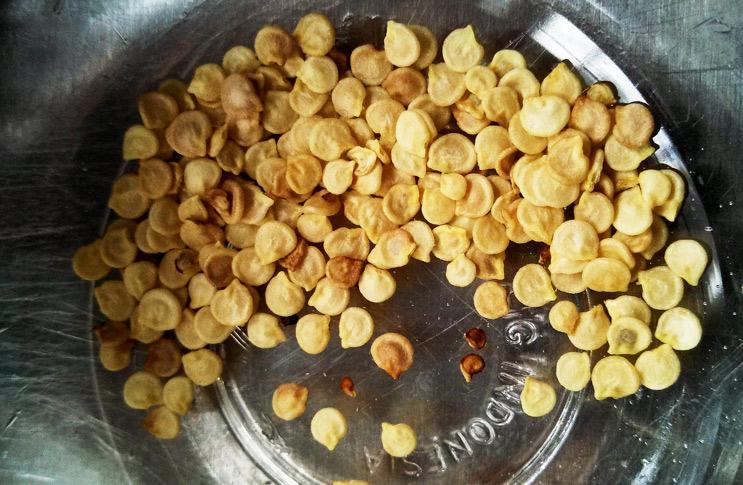 เมล็ดพริก