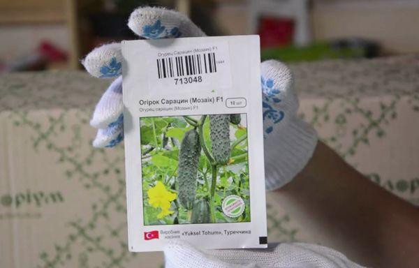 แตงกวาซาราเซน F1