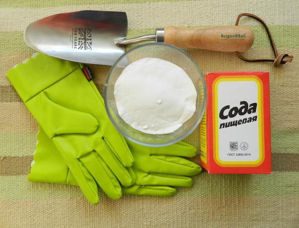 โซดาสำหรับแตงกวา