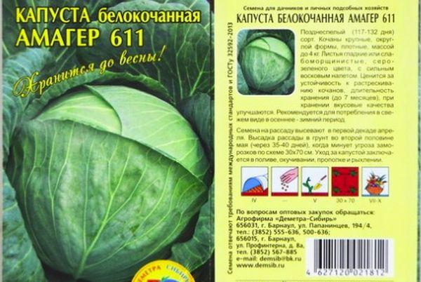 กะหล่ำปลีอาเมเจอร์ 611