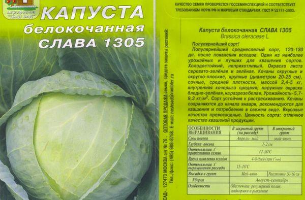 กะหล่ำปลีกลอรี 1305