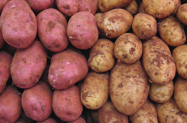 มันฝรั่งวารังเจียน