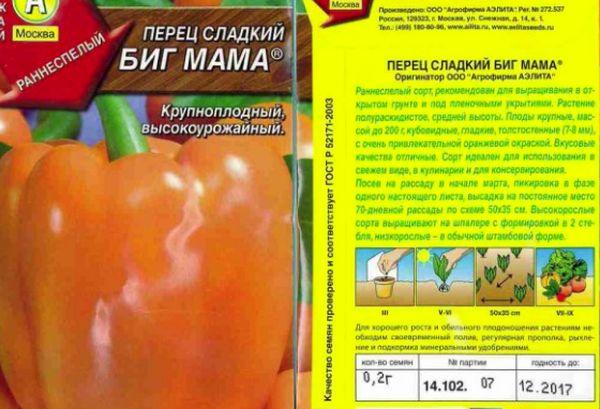 บิ๊กมาม่า