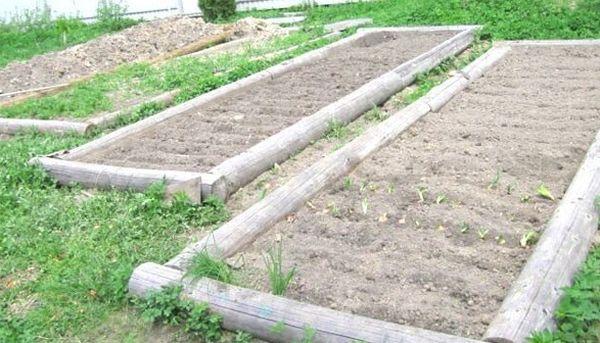 Les plates-bandes de légumes