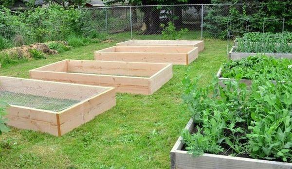 Lits pour concombres