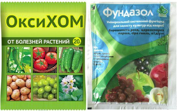 สารป้องกันเชื้อราสำหรับแตงกวา