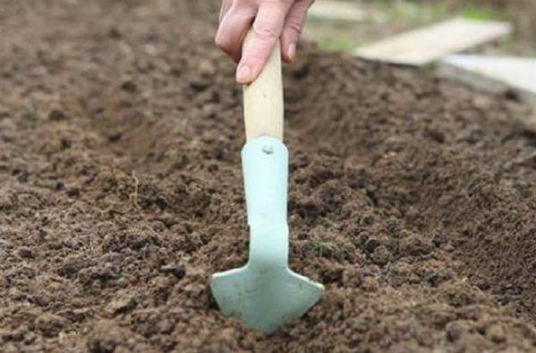 การคลายดิน