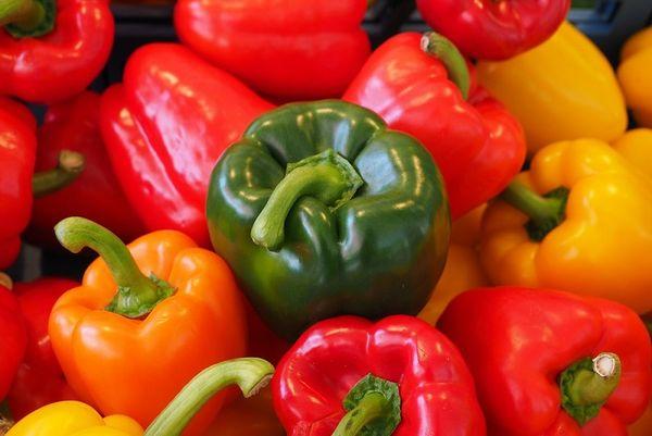 เปปเปอร์ ลาติน F1