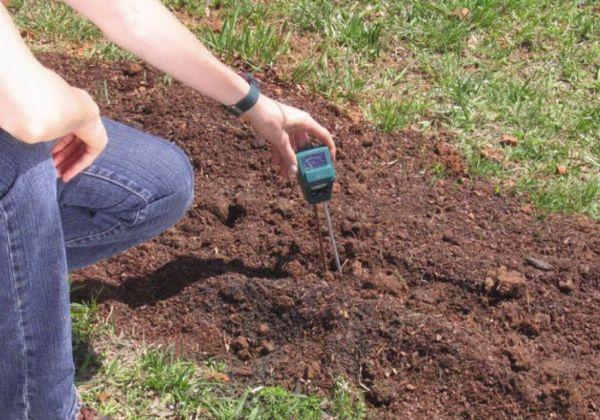 ความเป็นกรดของดิน