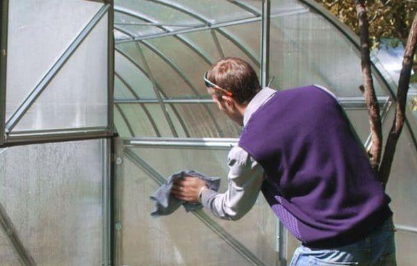 วิธีดูแลพริกในโรงเรือนตั้งแต่ปลูกจนถึงเก็บเกี่ยว