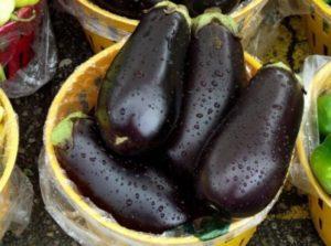 ลักษณะและลักษณะของมะเขือม่วงพันธุ์เวร่า ผลผลิตและการเพาะปลูก