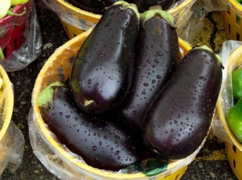 มะเขือม่วงเวร่า