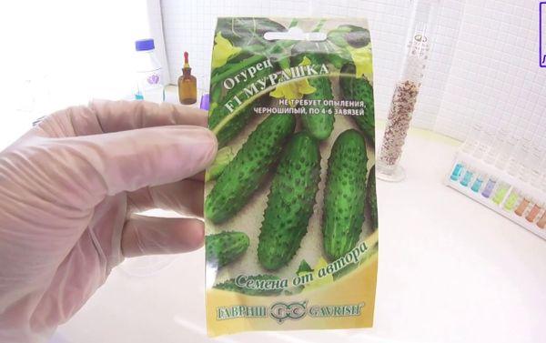 มูราชก้า เอฟ1