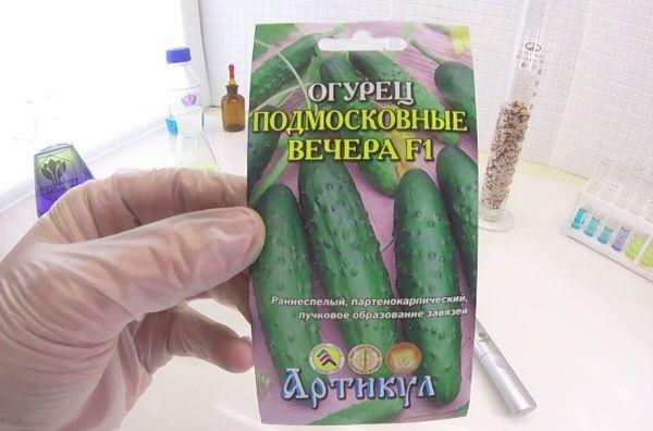 มอสโก รีเจียนัล อีฟนิงส์ F1