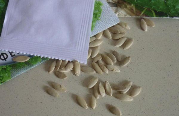 วัสดุเมล็ดพันธุ์