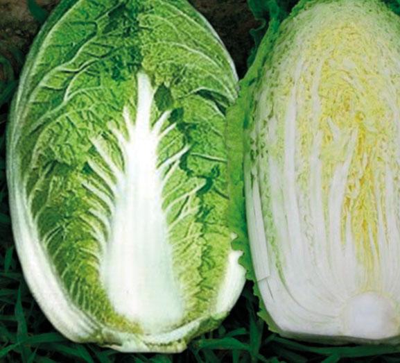 Chou chinois Yuki F1