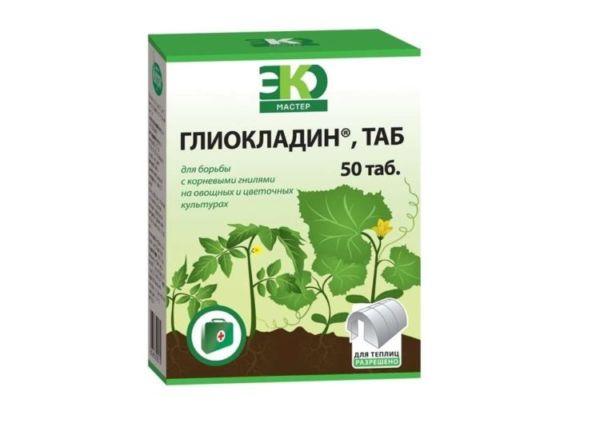 ยา "ไกลโอคลาดิน"