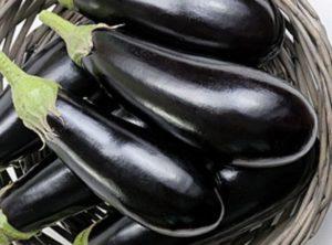 12 พันธุ์มะเขือยาวที่ดีที่สุดสำหรับภูมิภาคเลนินกราดพร้อมคำอธิบาย