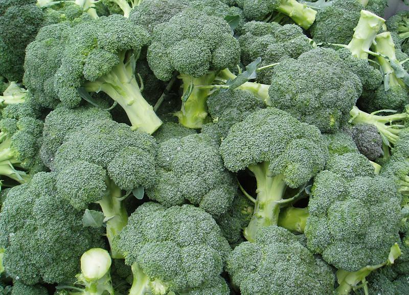 Le brocoli de Lucky