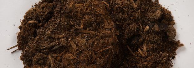 ฮิวมัสเป็นปุ๋ย