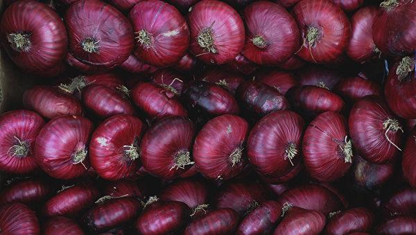 หอมแดงยัลตา