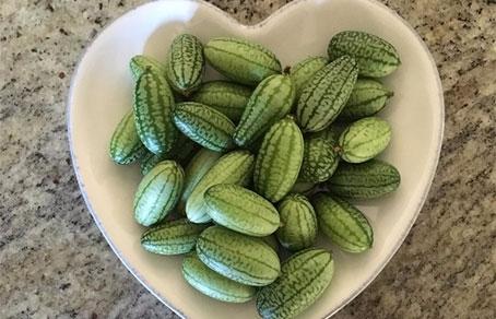 แตงกวาแอฟริกันในจาน