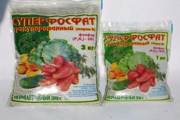 ปุ๋ยซุปเปอร์ฟอสเฟต