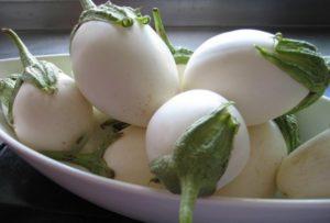 ลักษณะและลักษณะของมะเขือม่วงพันธุ์ดี ข้อดีข้อเสีย