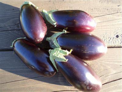 บลูส์เหนือ