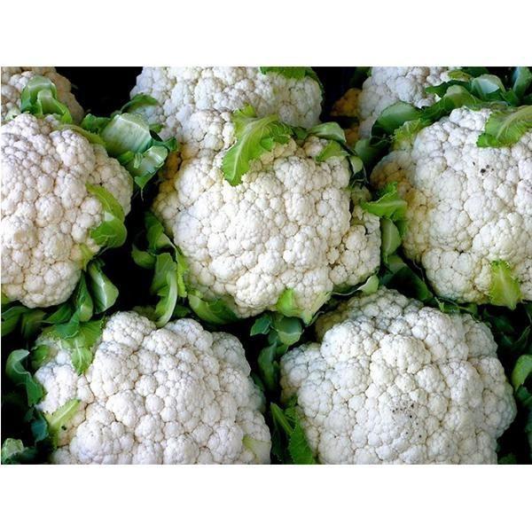 ลูกโลกหิมะ