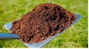 ฮิวมัสคืออะไร ประกอบด้วยอะไรบ้าง ทำอย่างไรให้รวดเร็ว