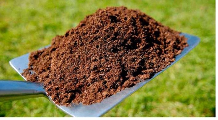 ฮิวมัสในมือ