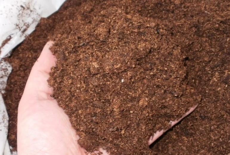 ฮิวมัสเป็นปุ๋ย