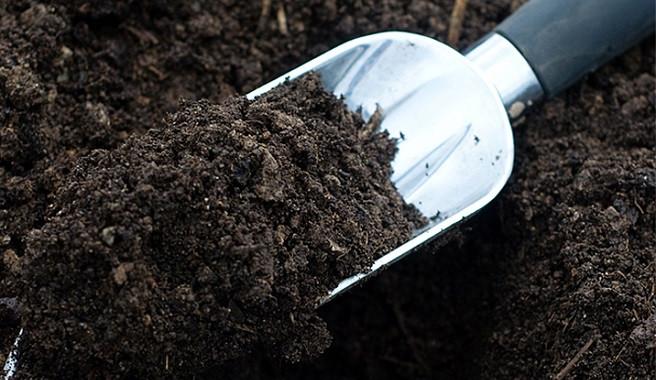 ปุ๋ยหมักไส้เดือนในพลั่ว