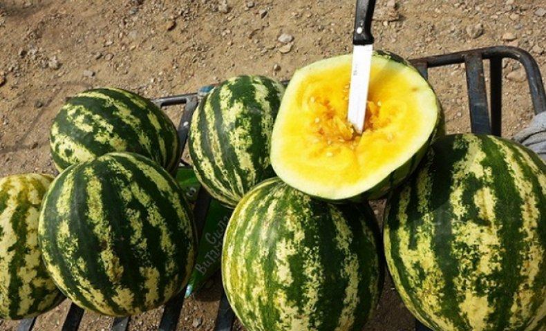 แตงโมสุก