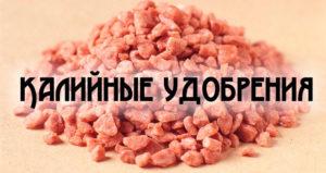 คำอธิบายเกี่ยวกับปุ๋ยโพแทช ควรเลือกปุ๋ยชนิดใด และคำแนะนำในการใช้