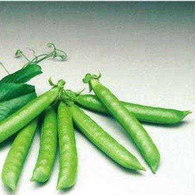 ถั่วซัมเมอร์วูด