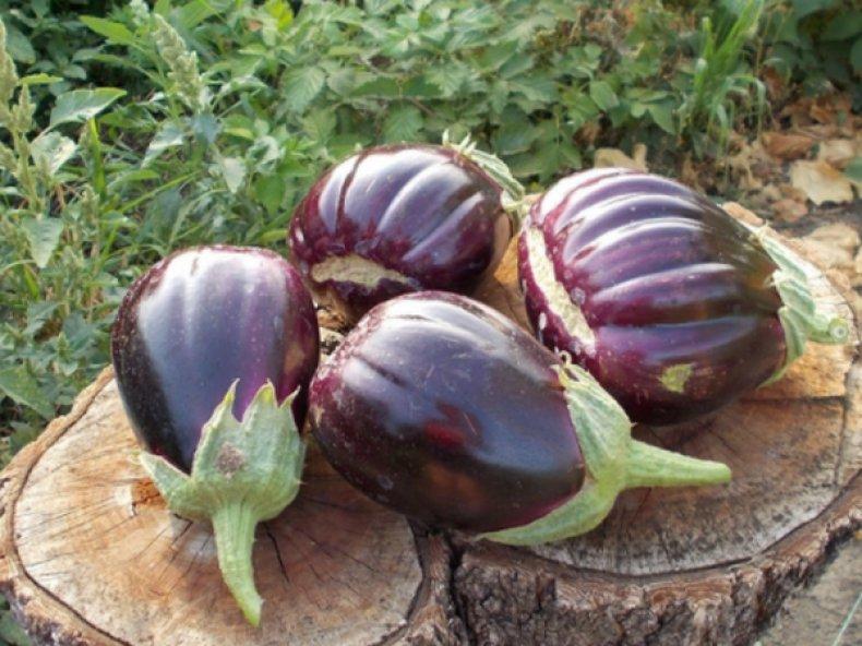 ความงามสีดำ