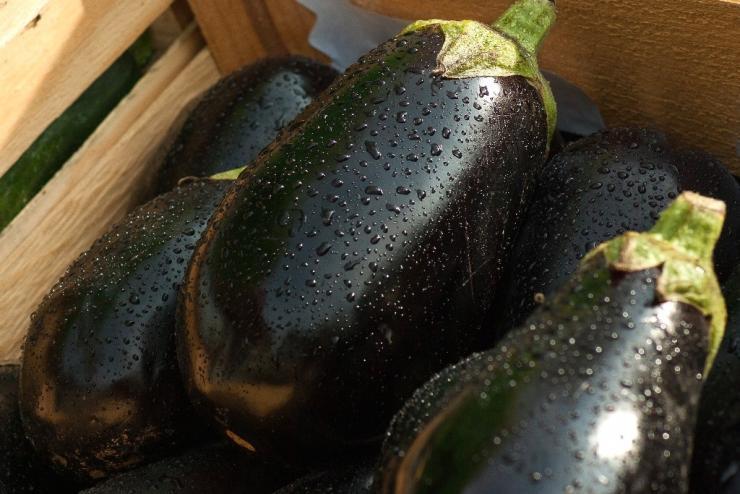 Faites attention à l’arrosage et à l’ajout d’engrais au sol.