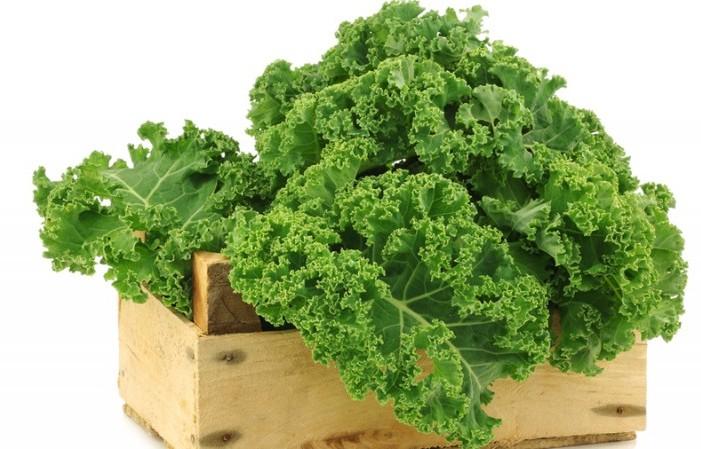 ทินโตเรตโตหยิก