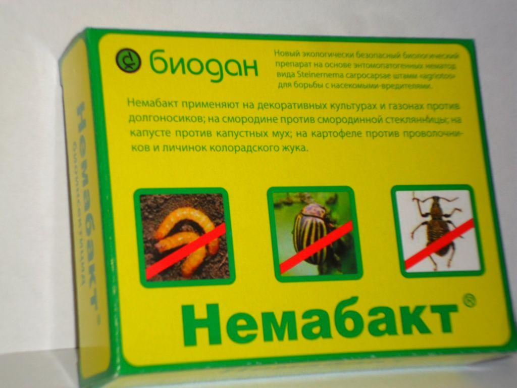 médicament Nemabact