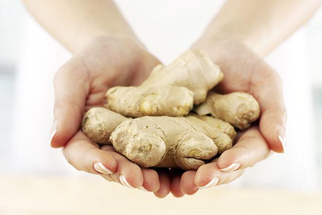 รากขิงในมือ