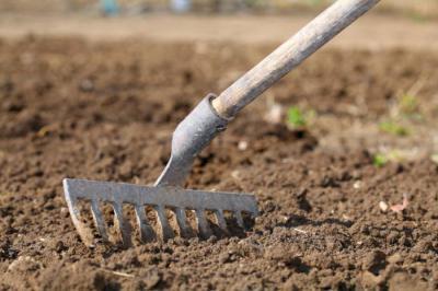 การเตรียมแปลงสวน